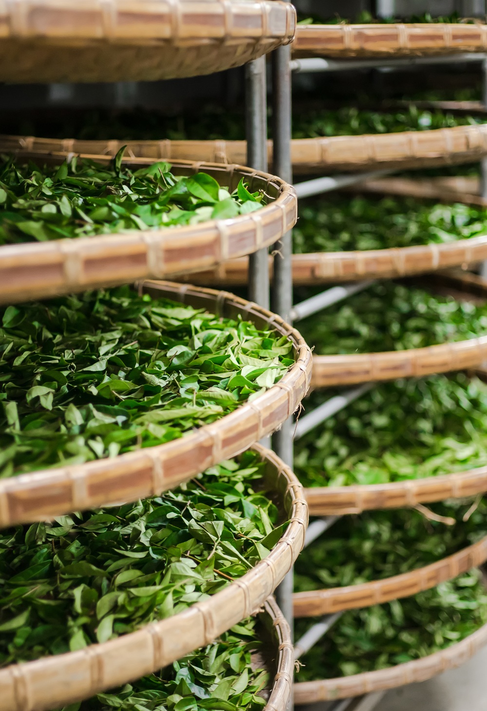 History of Innovation