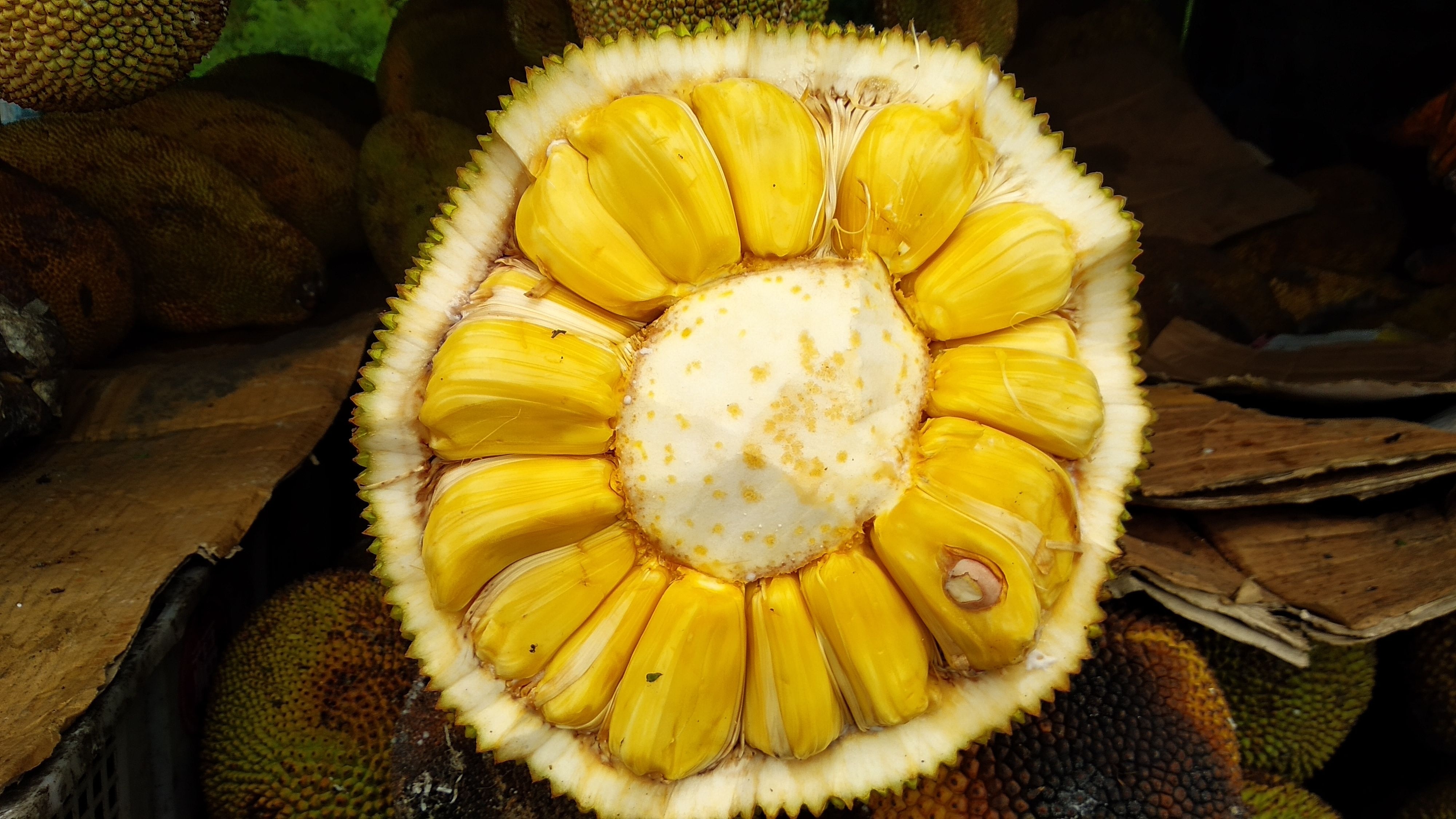 Southeast Asian Catering Industry's First Choice