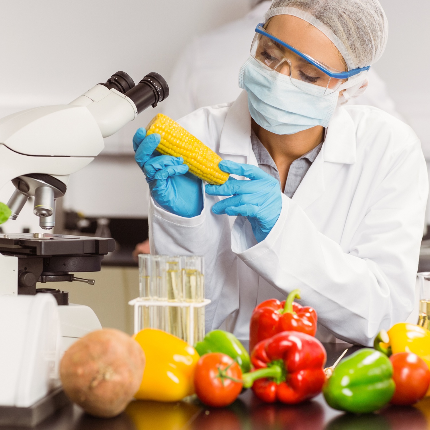 International Quality Certification