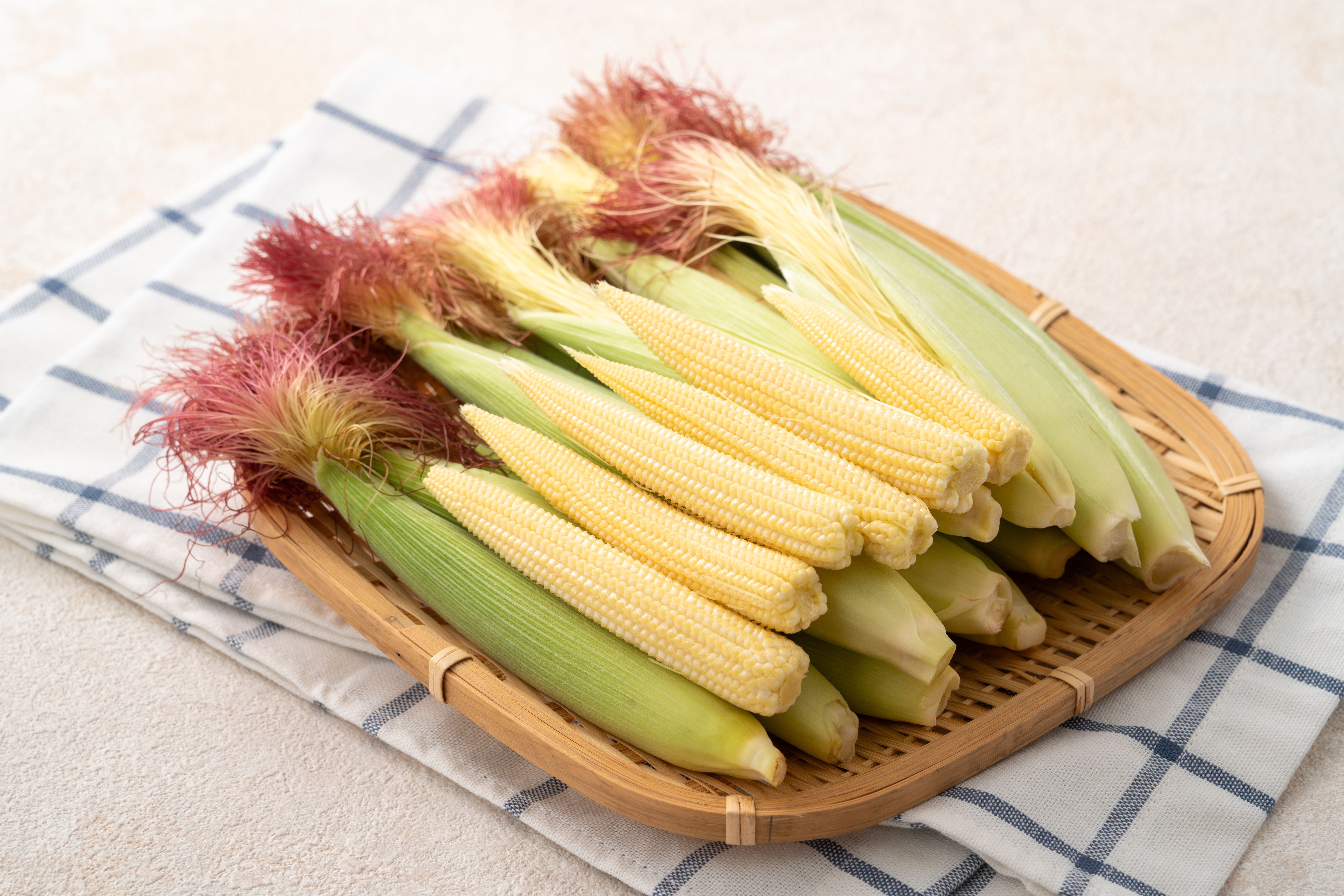Variety Of Canned Food